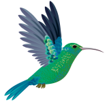 Fondo-colibri